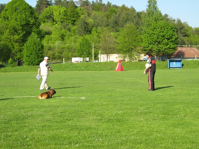 www.atibox.net * www.euroboxer.eu * www.boxergenealogia.eu